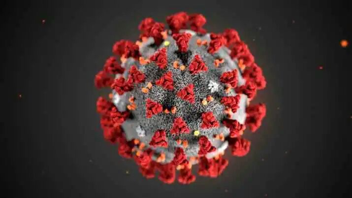 Most-asked questions on Google on Coronavirus - We answer them for you

