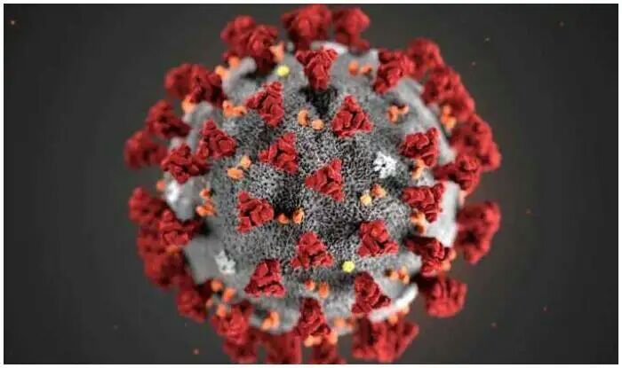 No, Coronavirus Was Not Made in a Chinese Laboratory, Claims Study