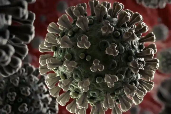 The world is suffering serious consequences for this big mistake of China, it would have done so.

