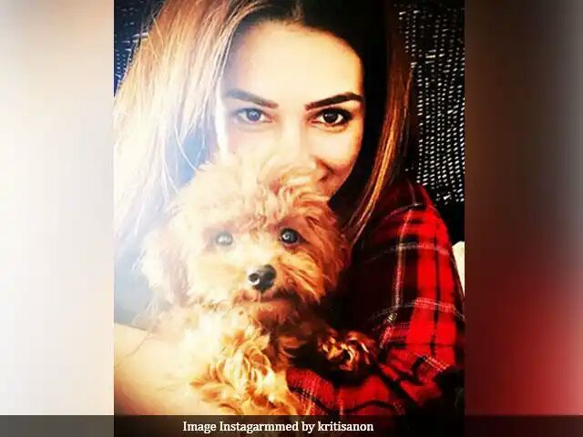 Inside Kriti Sanon And Arjun Kapoor's Quarantine Pawsome Diaries
