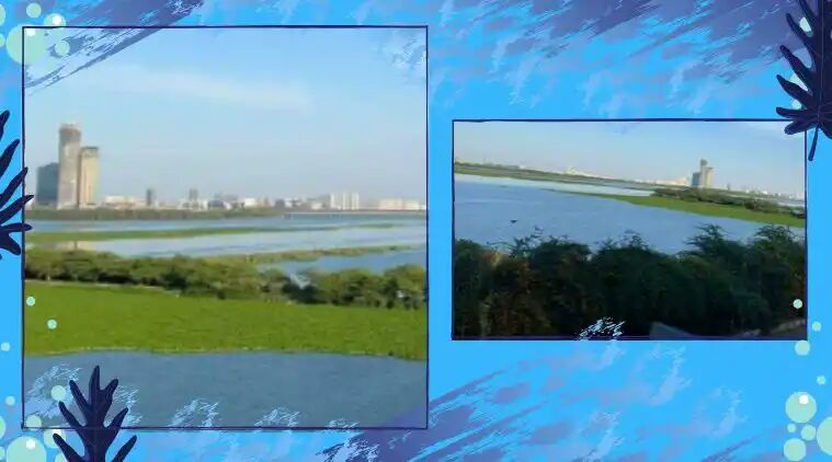 Never saw Yamuna so clean before' - Images of the river go viral amid lockdown

