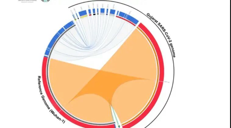 Scientists at Gujarat's government lab decode whole genome sequence of coronavirus COVID-19